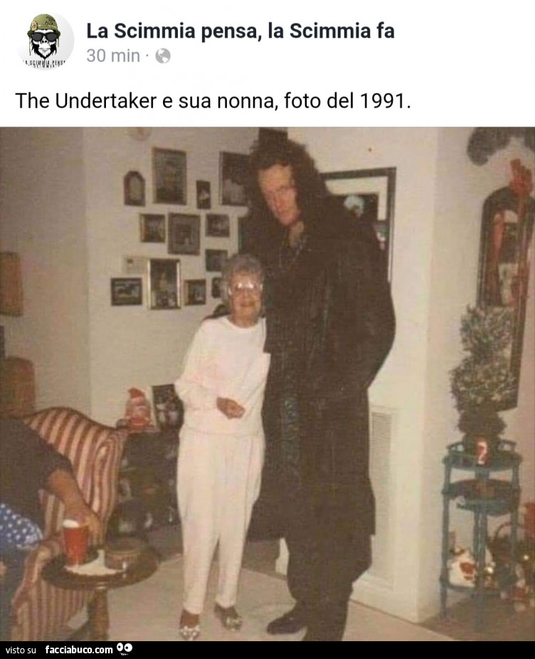 Vaccata