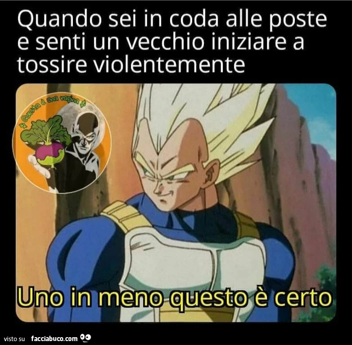 Vaccata