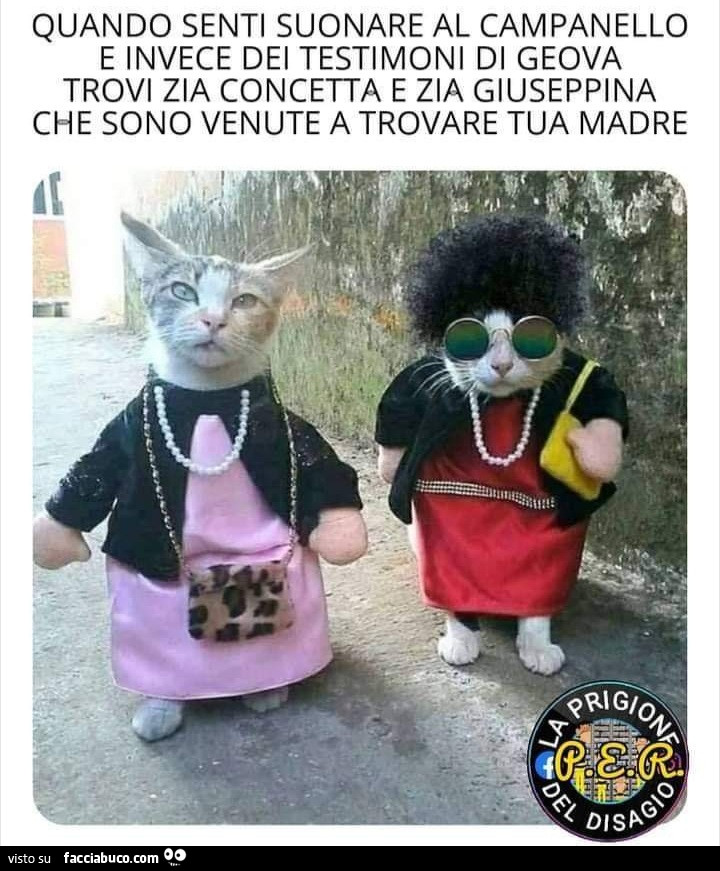 Quando senti suonare il campanello e