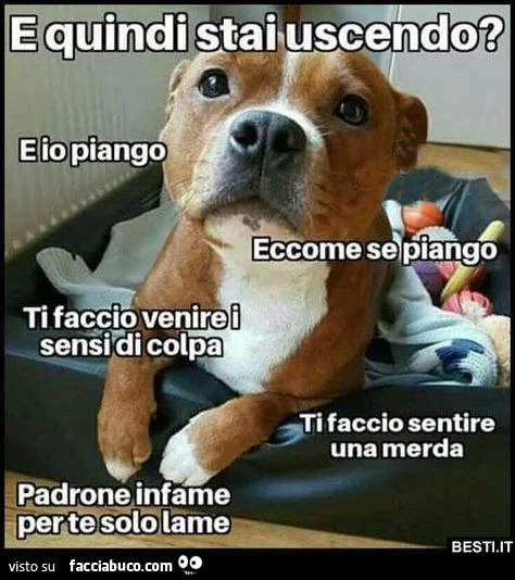 E quindi stai uscendo? Padrone infame