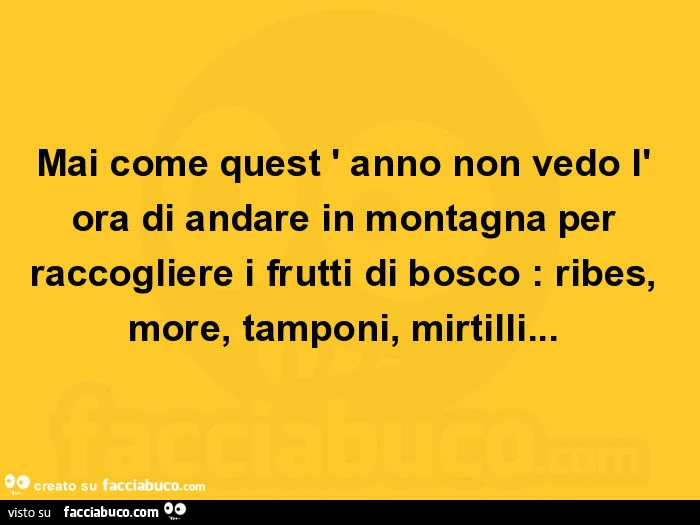Mai come quest ' anno non vedo l' ora di andare in montagna per raccogliere i frutti di bosco: ribes, more, tamponi, mirtilli
