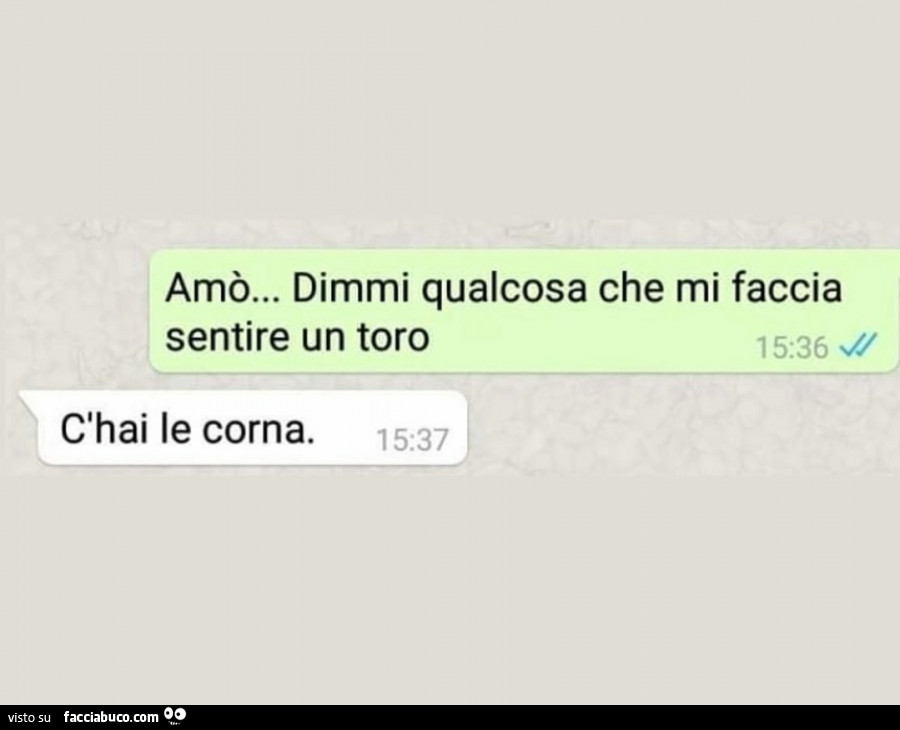 Amò… dimmi qualcosa che mi faccia sentire un toro. C'hai le corna