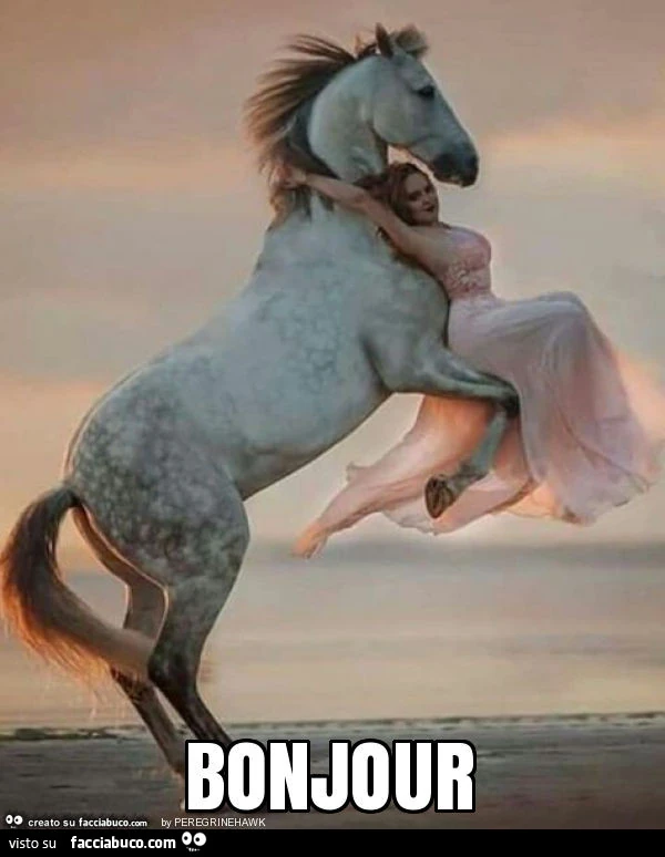 Bonjour