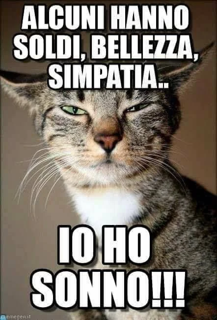 Meme divertenti