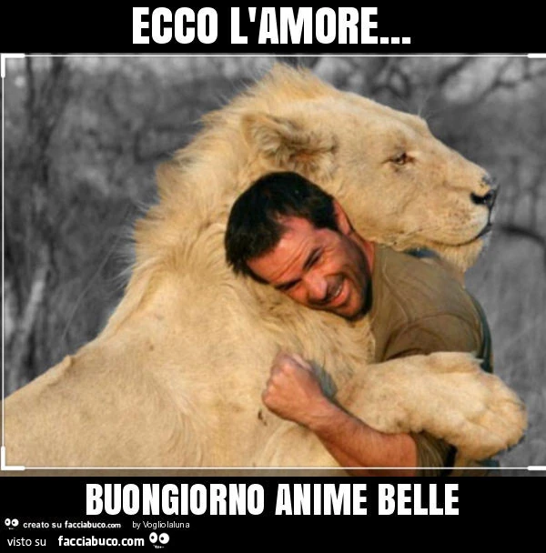 Ecco l'amore&hellip; buongiorno anime belle