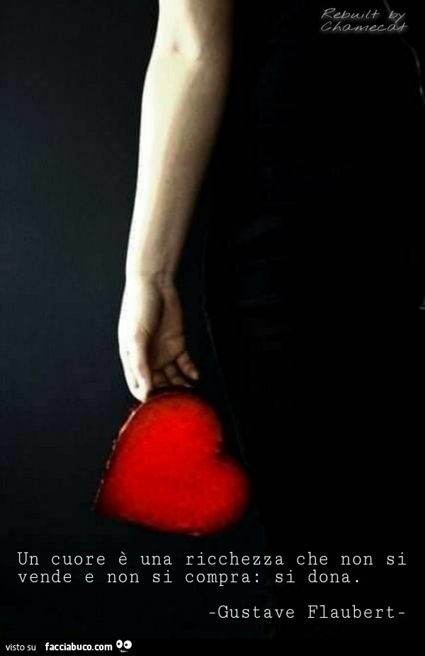 Un cuore è una ricchezza che non si vende e non si compra: si dona. Gustave Flaubert