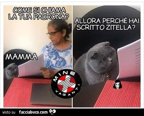 Come si chiama la tua padrona mamma allora perche hai scritto zitella