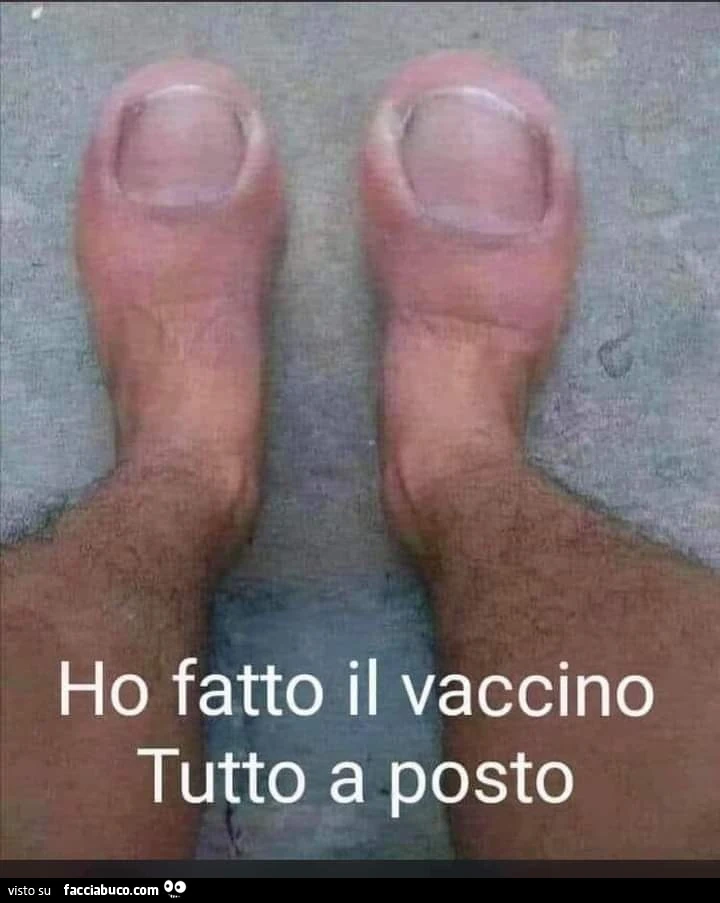 Vaccata