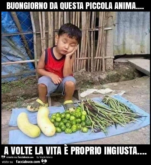 Buongiorno da questa piccola anima… a volte la vita è proprio ingiusta