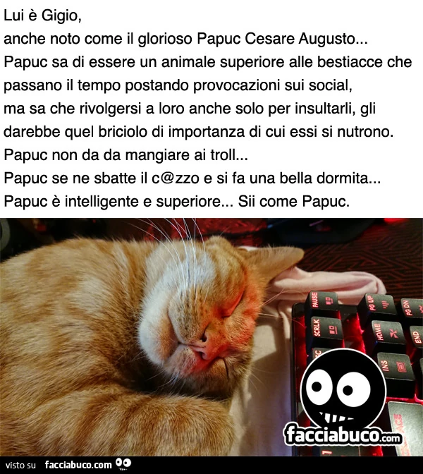 Lui è gigio, anche noto come il glorioso papuc cesare augusto&hellip; papuc sa di essere un animale superiore alle bestiacce che passano il tempo postando provocazioni sui social, ma sa che rivolgersi a loro anche solo per insultarli