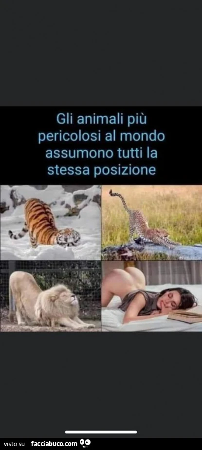 Somiglianze