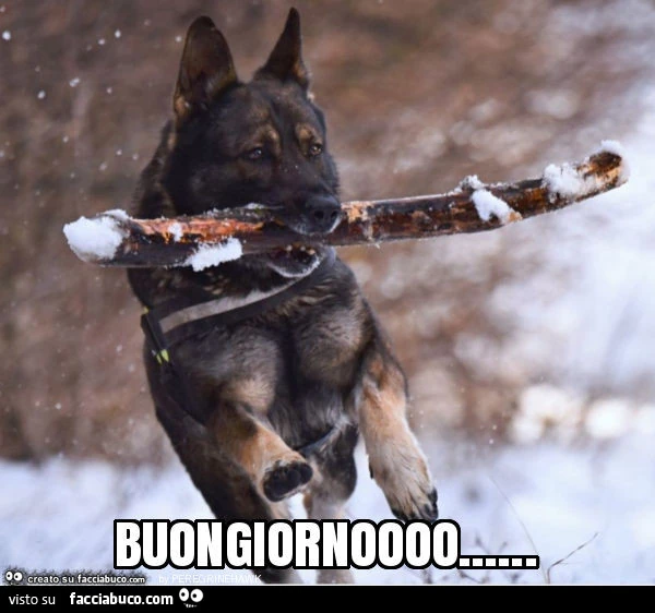 Buongiornoooo