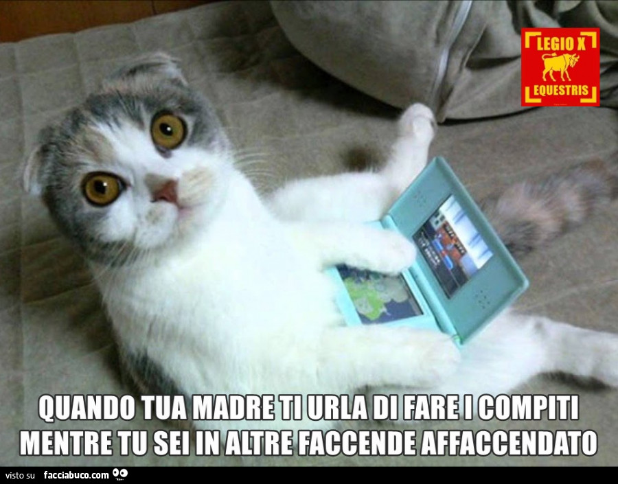 Quando tua madre ti urla di fare i compiti mentre tu sei in altre faccende affaccendato