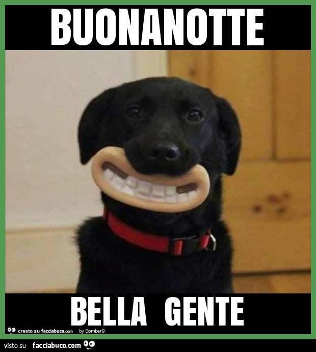 Buonanotte bella gente